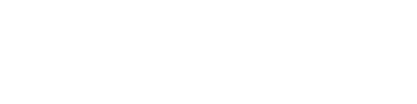 Brainit